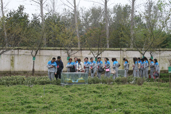 郸城英博学校来我校参观