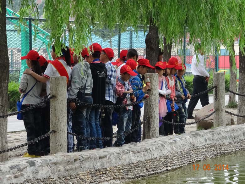 周口晚报小记者校园采风