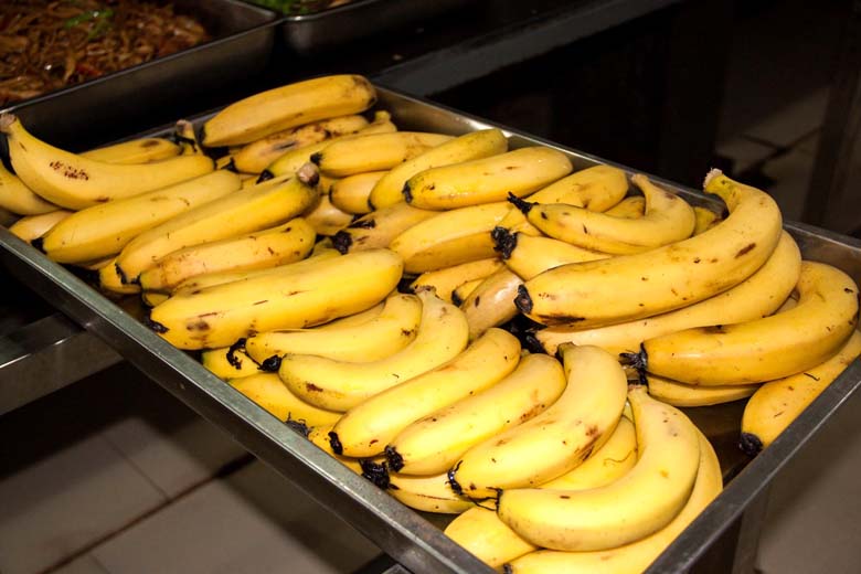 羲城中学再次承接2016年高考监考员的后勤保障服务