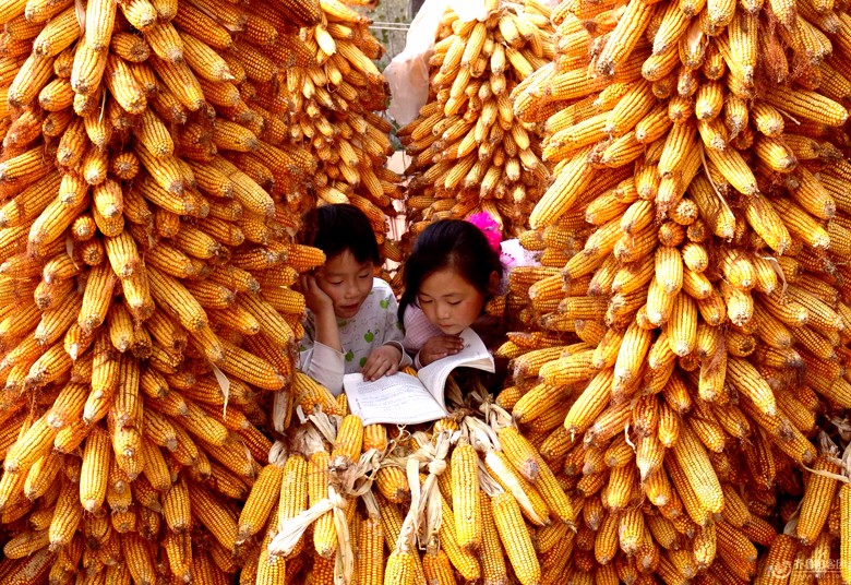 家乡的秋天