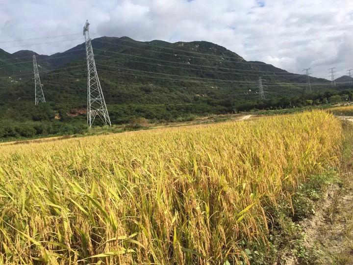 羲城农牧全国八大生态基地