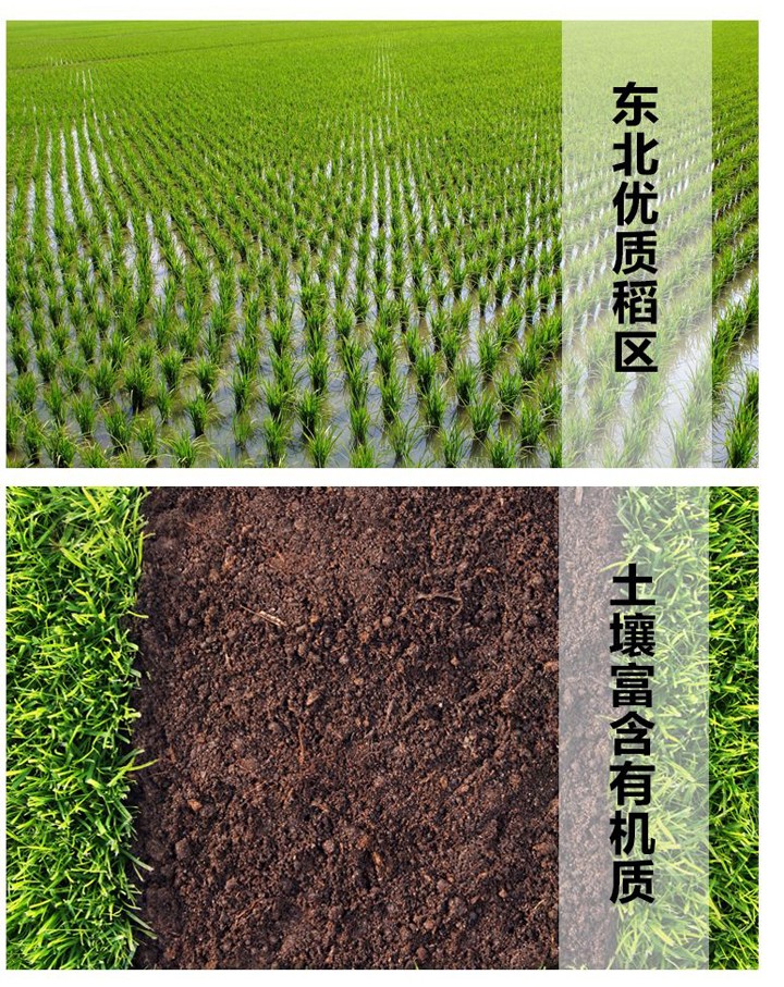 羲城农牧全国八大生态基地
