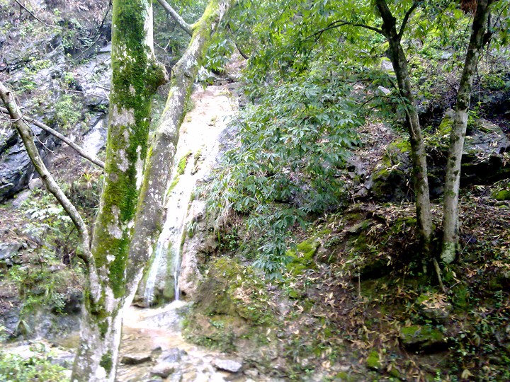 羲城农牧全国八大生态基地