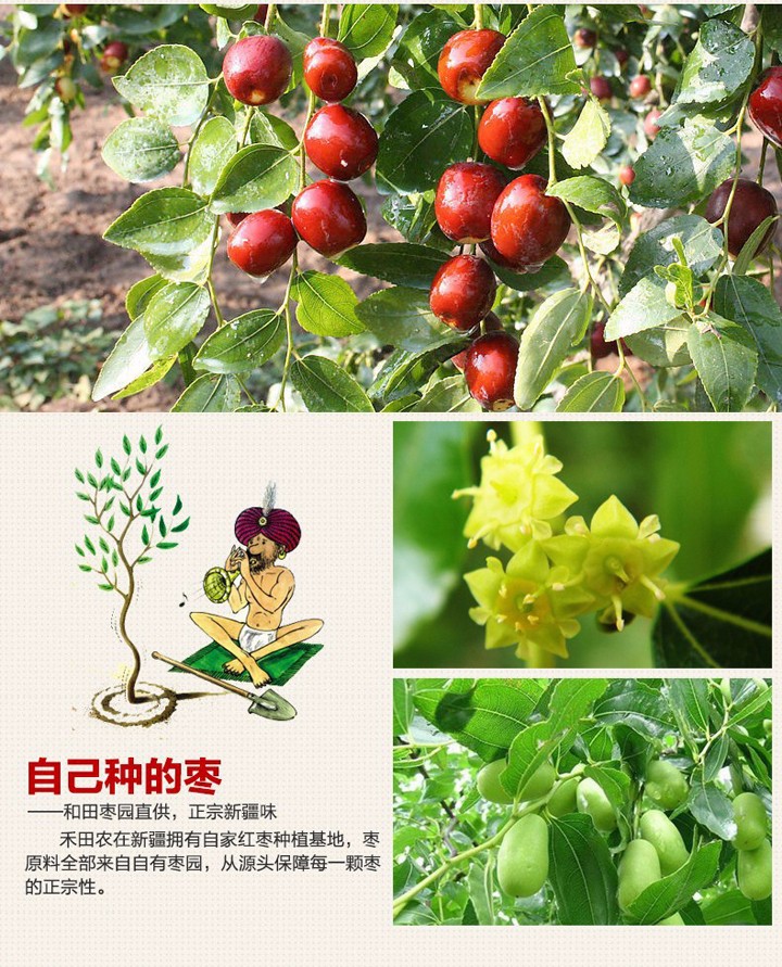 羲城农牧全国八大生态基地