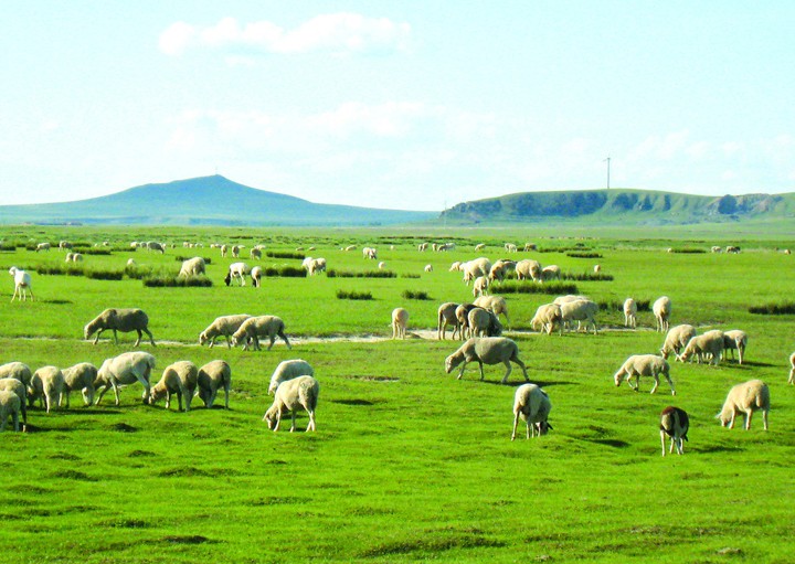羲城农牧全国八大生态基地