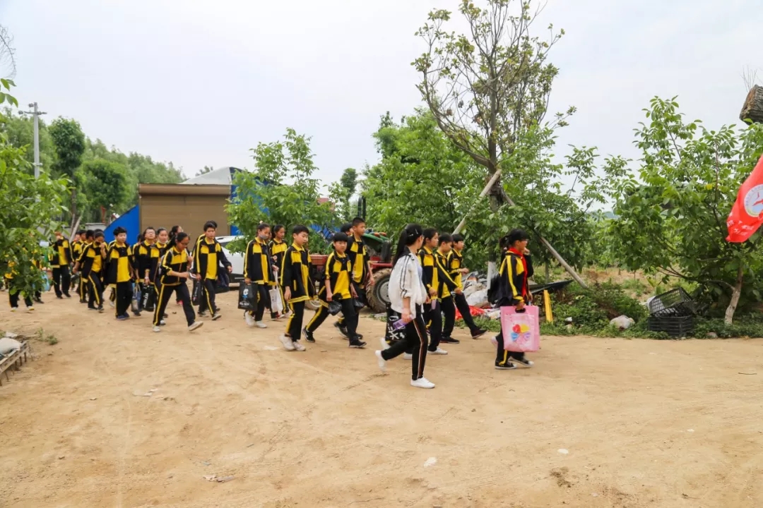 走出校园，增长学识——记羲城中学社会实践课之果树梳果