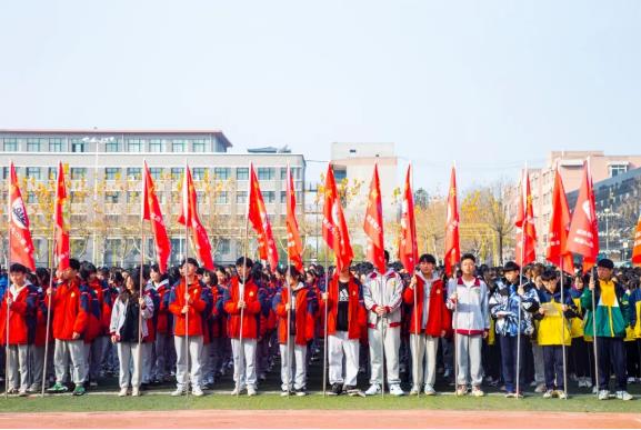 弘扬志愿精神 引领文明风尚——淮阳区羲城中学举行主题升旗仪式