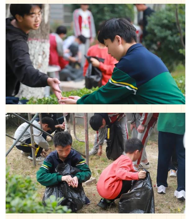 淮阳区羲城中学举行校园采摘劳动教育活动